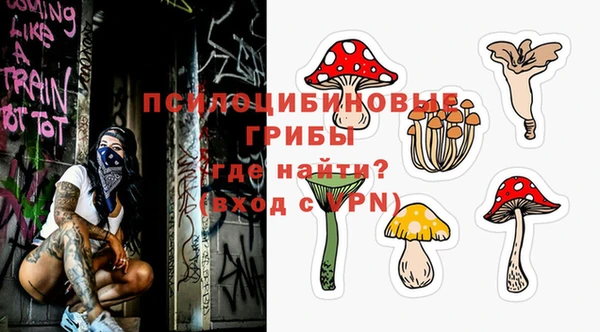 бошки Верея