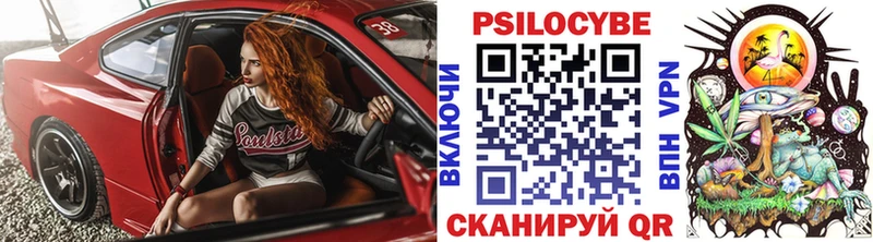 Купить где  Балтийск  Галлюциногенные грибы Psilocybine cubensis 